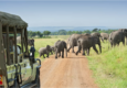 Tanzania Safari Package