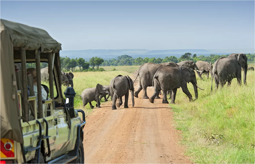 Tanzania Safari Package