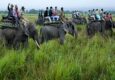 Chitwan Tour Package