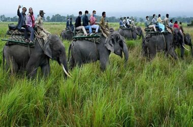 Chitwan Tour Package