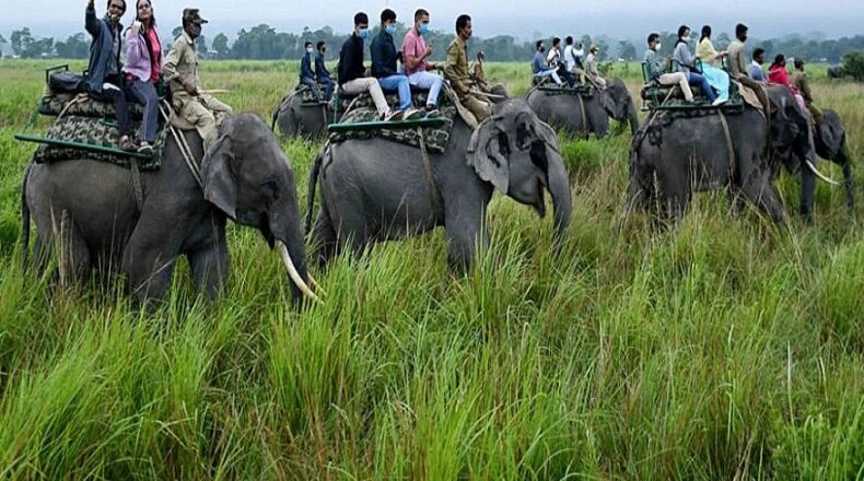 Chitwan Tour Package