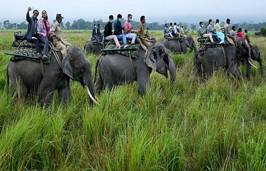 Chitwan Tour Package