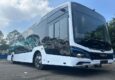 Singapore bus